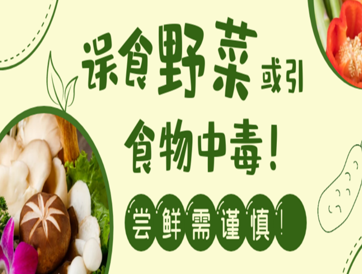 1cc5bd105c6743cb8a63531e5f9c2e9d.png