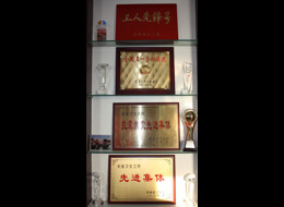 歷年榮獲資質